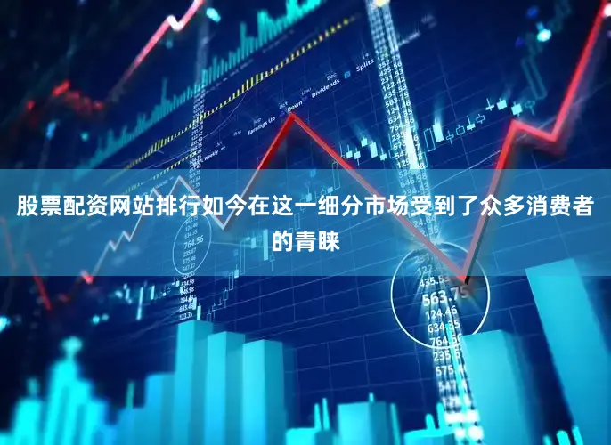 股票配资网站排行如今在这一细分市场受到了众多消费者的青睐
