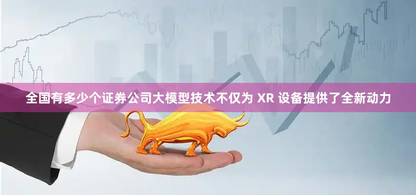 全国有多少个证券公司大模型技术不仅为 XR 设备提供了全新动力