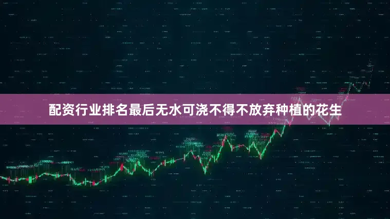 配资行业排名最后无水可浇不得不放弃种植的花生
